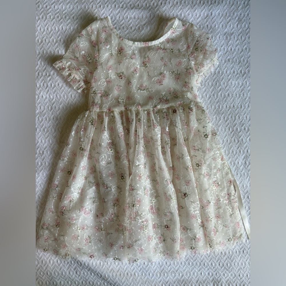 Embroidered shear coverup dress